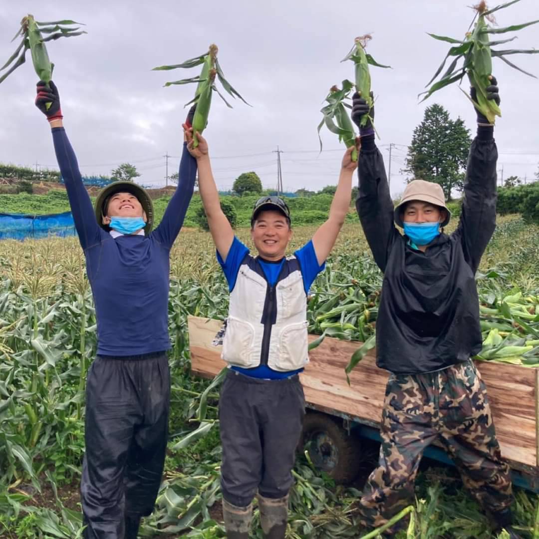 この甘さ、ミラクルスイートコーン！