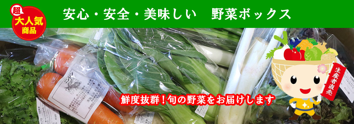 野菜ボックス_TOPバナー