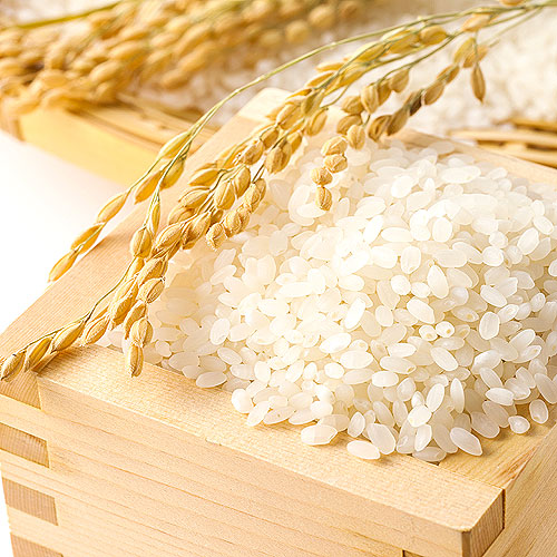 新米、入荷します！