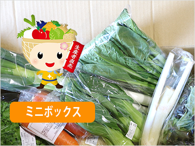 旬の採れたて　ミニ野菜ボックス
